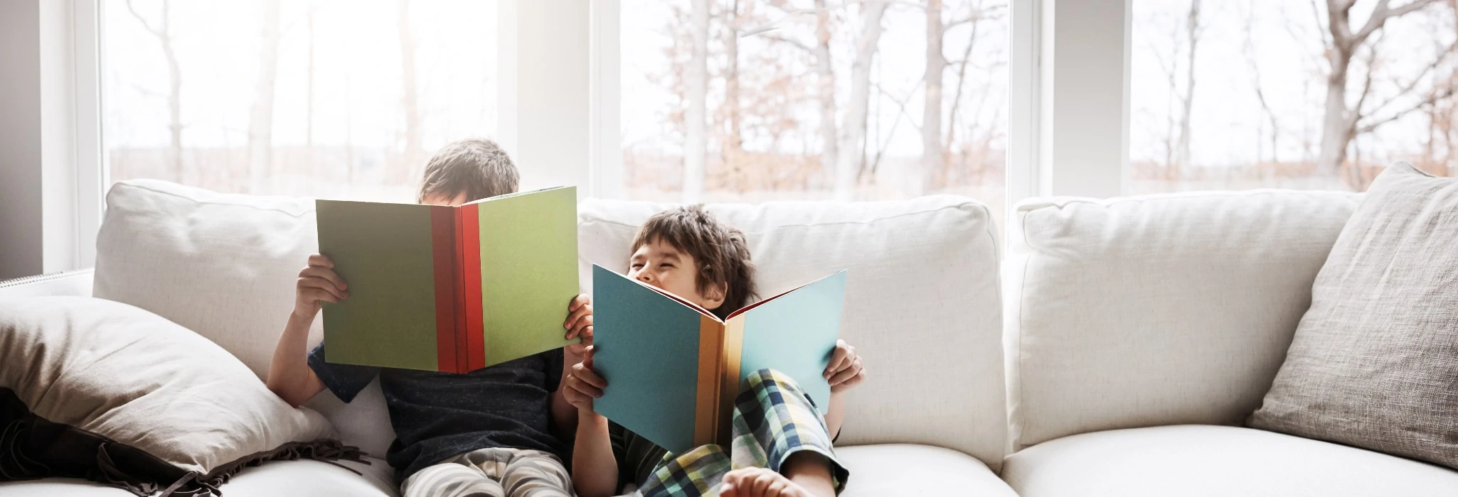 Heat Pumps - Your Efficient Heating and Cooling Solution